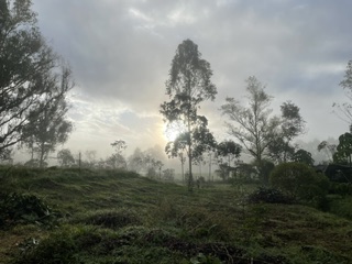 Misty morning in Sibundoy Valley, Colombia